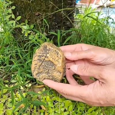 Garten Kunststein Schlüsselversteck Aufbewahrungsbox Outdoor Hof Rasen Simulierte Stein Harz Statue Dekoration Haus Ersatzschlüssel Geheimhalter Container