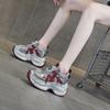 Platform-soled Fashion Dad Shoes Women's New Casual Versatile Inner Height Increase Lightweight Small Sports Trendy Shoes
