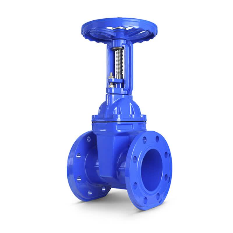 DN125 Flanged Soft Seal Open Stem Gate Valve