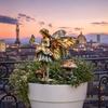 Decorazioni Giardino delle Fate da Esterno, Pali Decorativi a Forma di Fungo in Acrilico per Giardino, Cartello Giardino Spiritello del Bosco Fantasioso, Inserimenti per Vasi da Fiori Resistenti alle Intemperie per