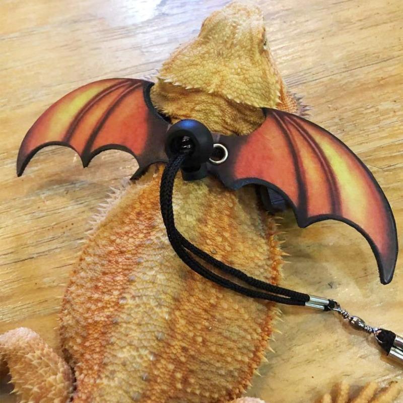 Leash Reptile Outdoor Walking Harness Leash for Small Pet Leash Festival Wings Leash for Pet Celebrations