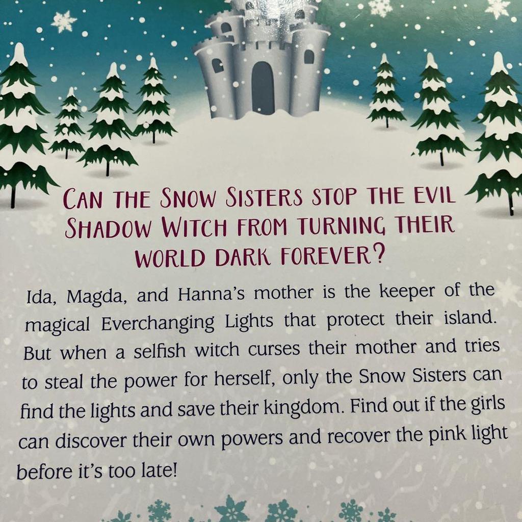 [USED] SNOW SiSTERS 2-book set chapter book