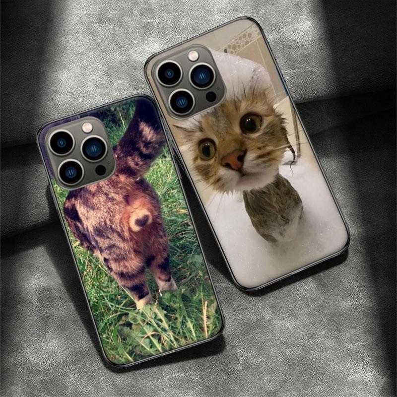 Pet Cat Funny Memes Phone Case For Apple Iphone 16E 16 Pro Max 15 Plus Soft 13 12 Mini Cover 11 14 Pro Max Capa 8 7 SE Shell Coq