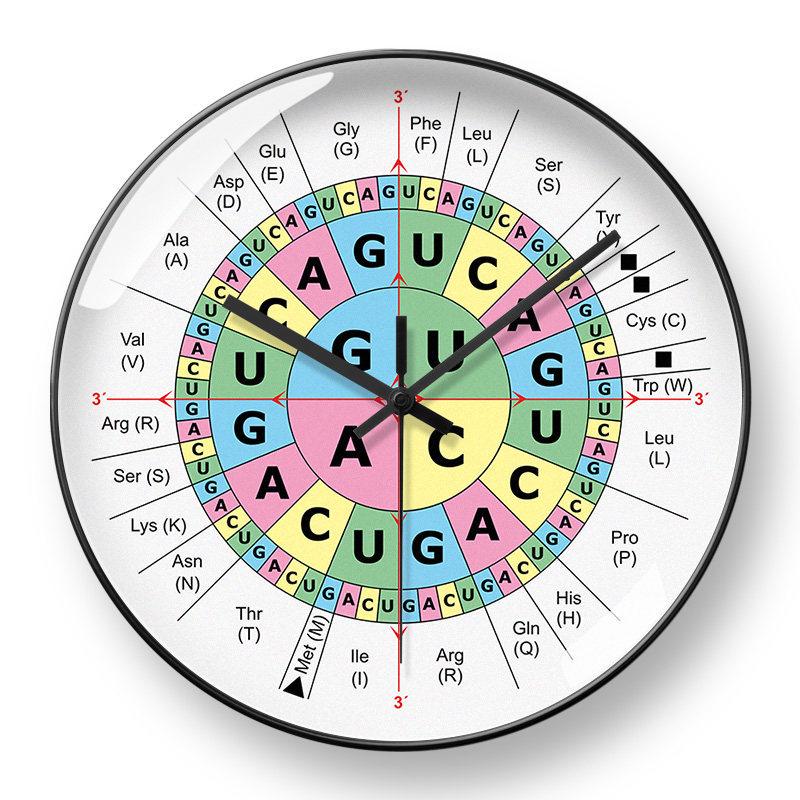 

Chord Roulette Guitar Wall Clock: Five-Degree Circle, Music Studio Silent Radio Wave, Auto Time Sync 8 inches