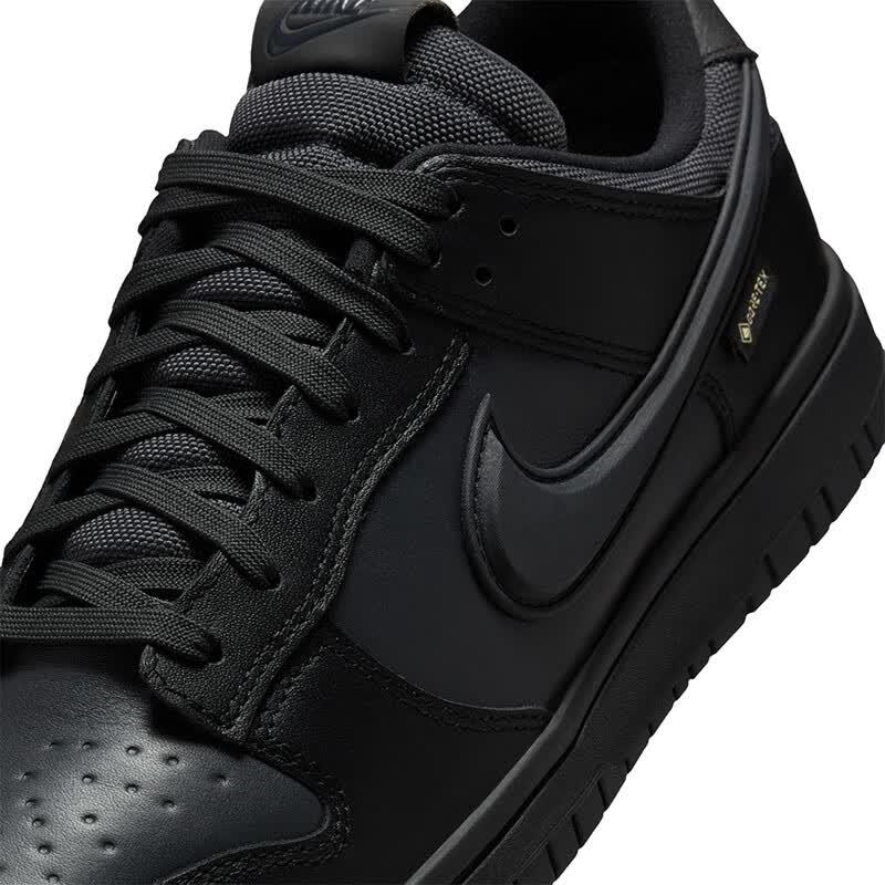 Nike Dunk Casual Skate Shoes