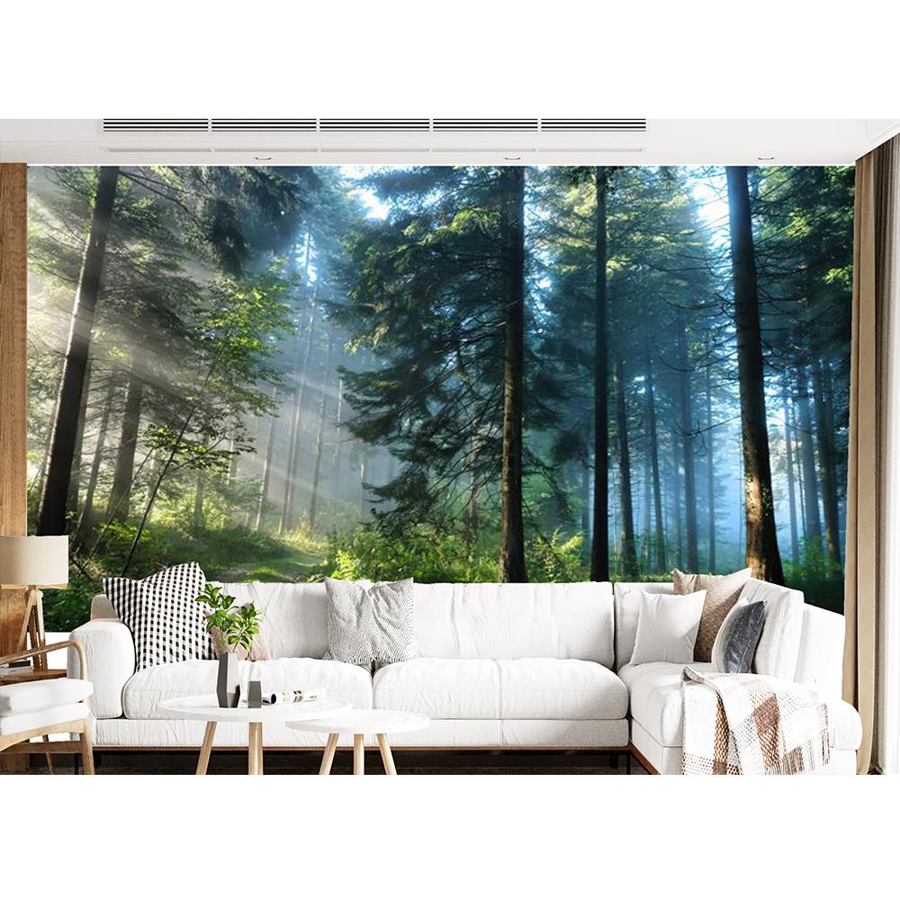 Morning Forest 3D Fototapeta Krajina Tapeta Obývací pokoj Ložnice Fototapeta Home Decor