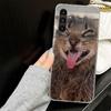 Pet Cat Funny Memes Case for Samsung A17 A16 A56 A36 A26 A15 A55 A35 A25 A14 A54 A34 A24 Phone Cover A13 A53 A33 A23 A05S A04S