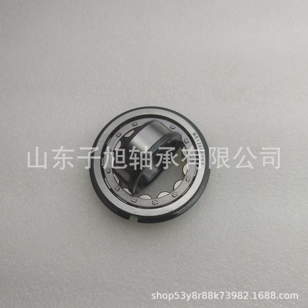 MR1206RUGV Non-Standard Cylindrical Roller Bearing with Shaft Connection, Complete Models Available