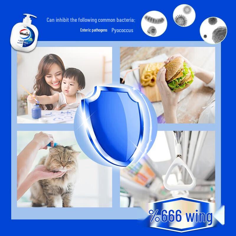 Walch Healthy Antibacterial Hand Sanitizer