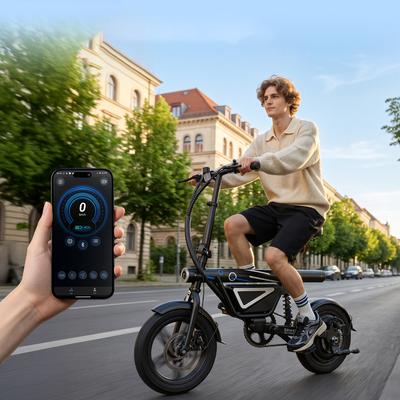 City Electric Bike EB1S Powerful 250W 25km/h 36V10Ah 45 KM Adult Electric Bicycle,e-bike,electric