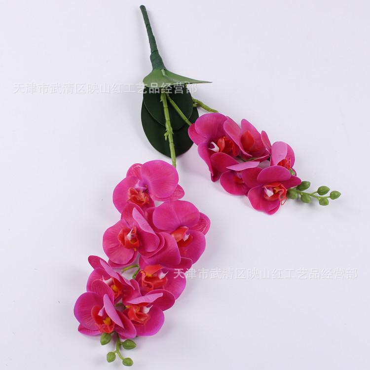 2-Fork small Phalaenopsis, feel film Phalaenopsis, simulated Phalaenopsis