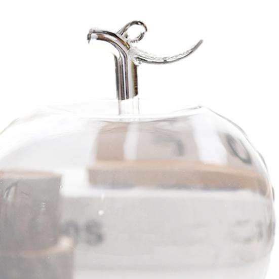 Glaskupa med träbas Klar glaskåpa Dammtät Dekorativ visningskupa för konserverade blommor Miniatyrer Smycken