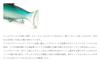 Raid Japan OSAKANA SWIMMER 145 Pearl Chart PEARL 06. (OS06 CHART)