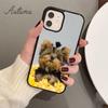 yorkshire terrier dog puppy Phone Case for iPhone 11 12 13 14 Pro Max mini X XR XS SE 2020 6S 7 8 Plus Samsung S21 S22 shell