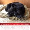 Ninian and Kino Perfect Pet Scottish Terrier Plush Perfect Dog Stuffed Animal (Small) Toy, Realistic, Lifelike, Animal, Soothing, Moving, Gift,