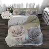 Super Cute Kitten Kids Bedding Set Kawaii Girl Quilt Cove King Queen Size Cat Animal 2/3pcs Polyester Duvet Cover (No Sheet)