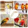Bird Perches For Cage Wooden Play Toy Bird Perches Cage Toys For Parakeet Conure Cockatiel Gerbil Chinchilla Hamster Lovebird