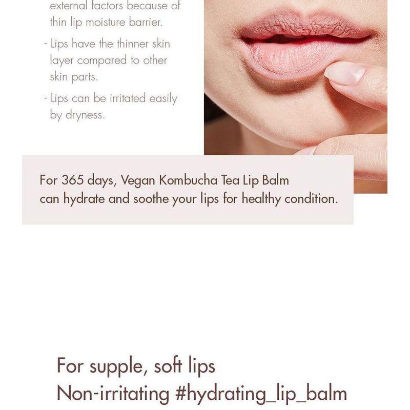 DR. Ceuracle - Veganer Kombucha Tee Lippenbalsam