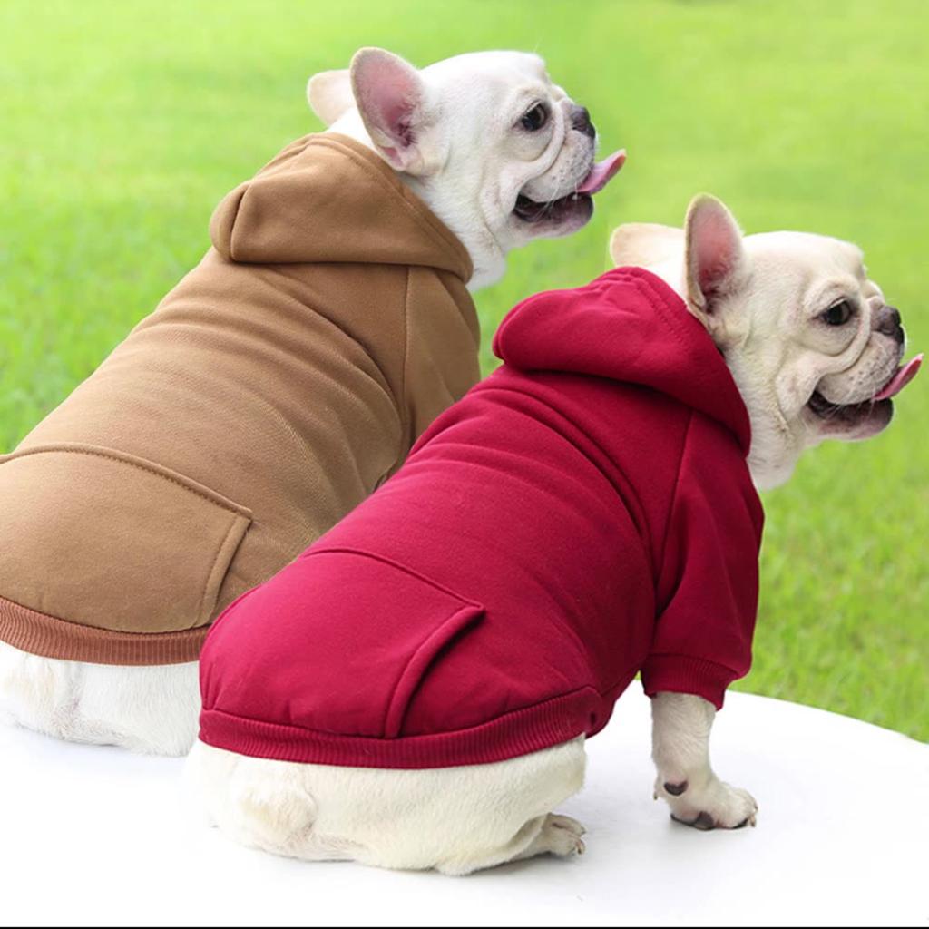 Pet Clothes Dog Clothes Clothes Casual Fashion Clothing Apparel Sweater