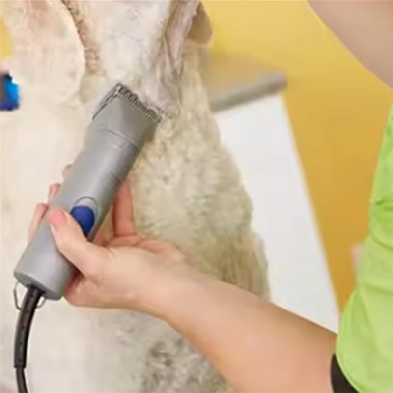 

Detachable 50 Pet Grooming Blade For Andis,Oster A5 & 76 ,Wahl Km Animal Clippers Cut Length 1/125-Inch 0.2Mm NONE