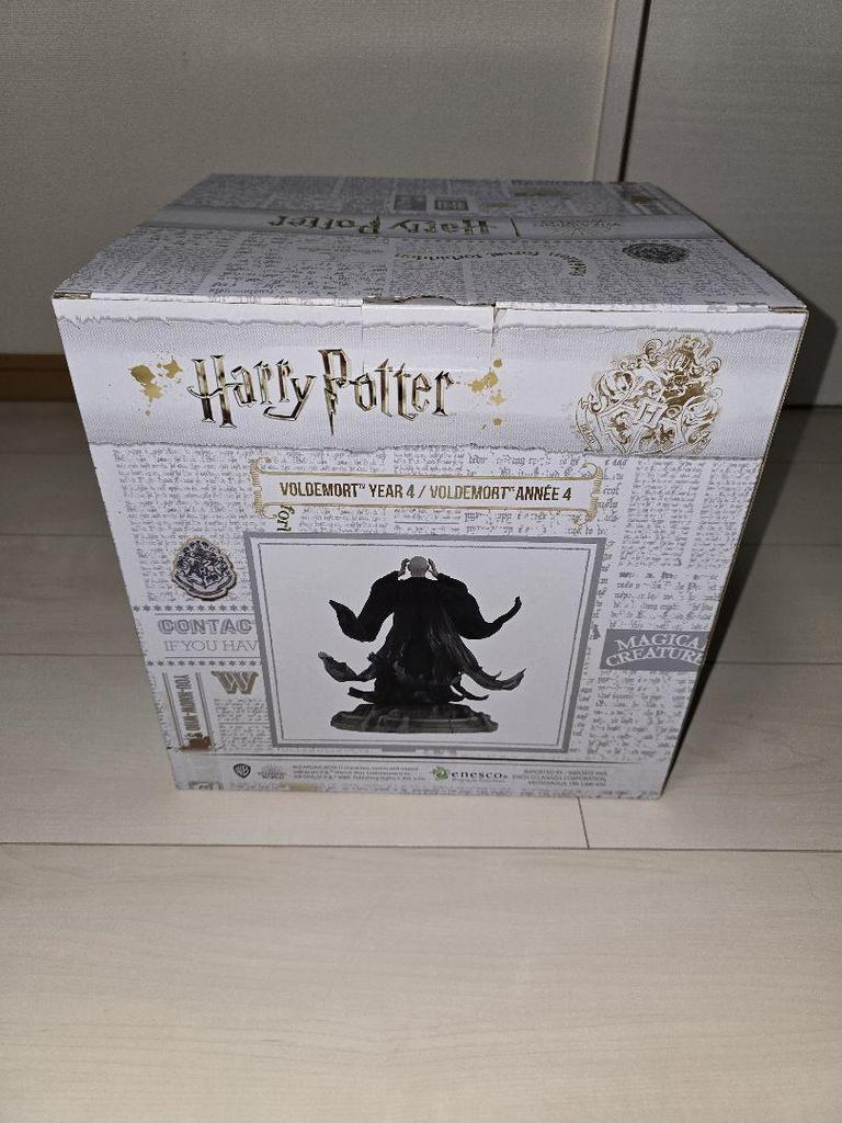 [USED] Special Price Voldemort Figure