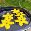 Bee Watering Station Flower Shape Floating Butterfly Waterer Garden Bee Insect Drinking
