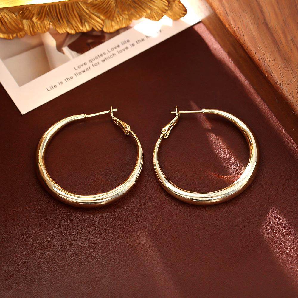 Minimalist European & American Style Gold-Plated Copper Stud Earrings - Silver Needle, Women's Fashion INS Cold Style