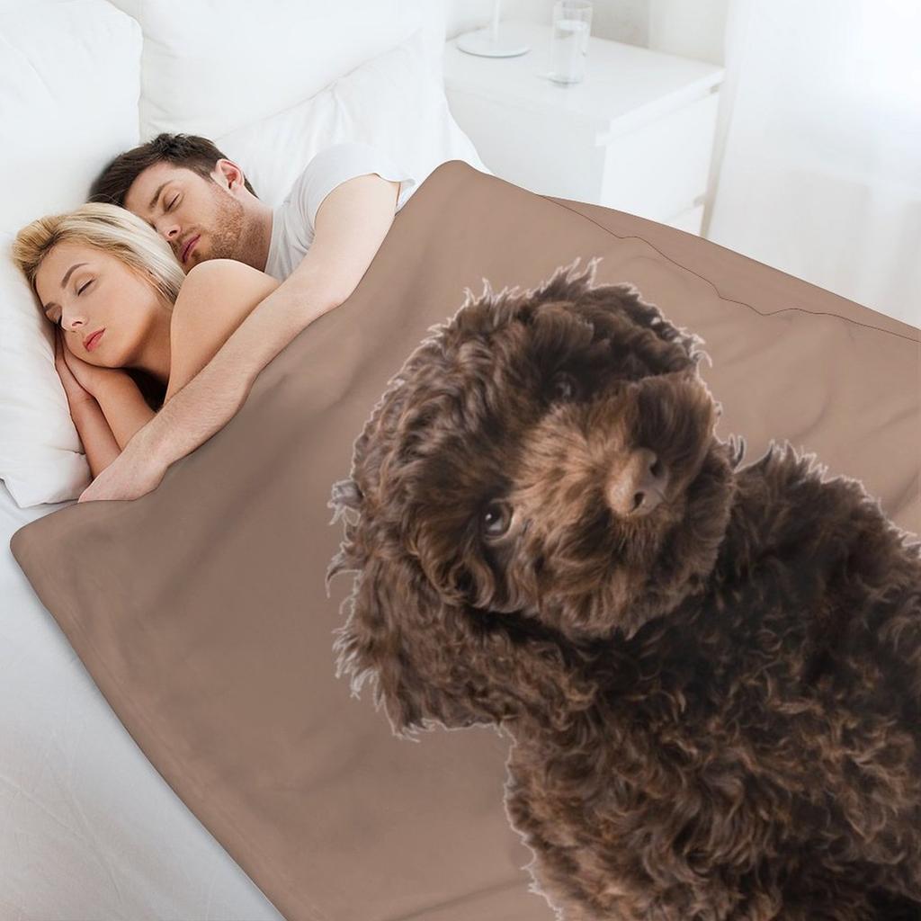 Labradoodle Throw Blanket Comforter Weighted Soft Big For Sofa Thin Blankets