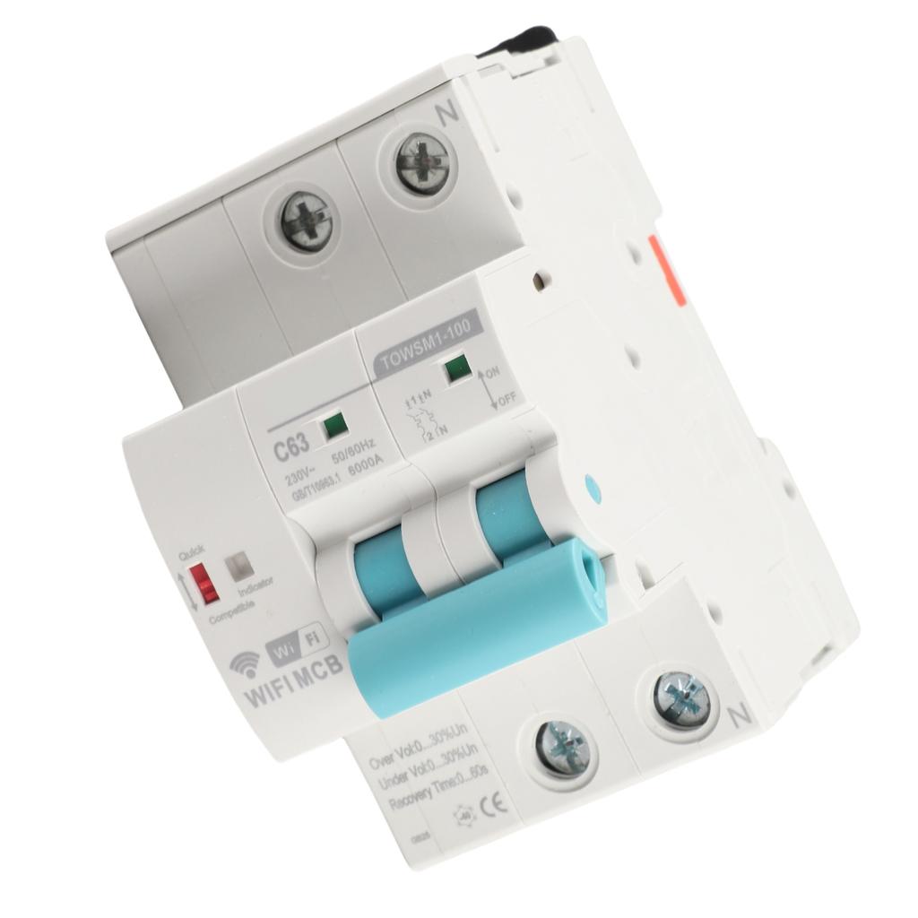 WiFi Circuit Breaker Intelligent 2P Din Rail Mount AC 230V for Household Factory TOWSM1‑100