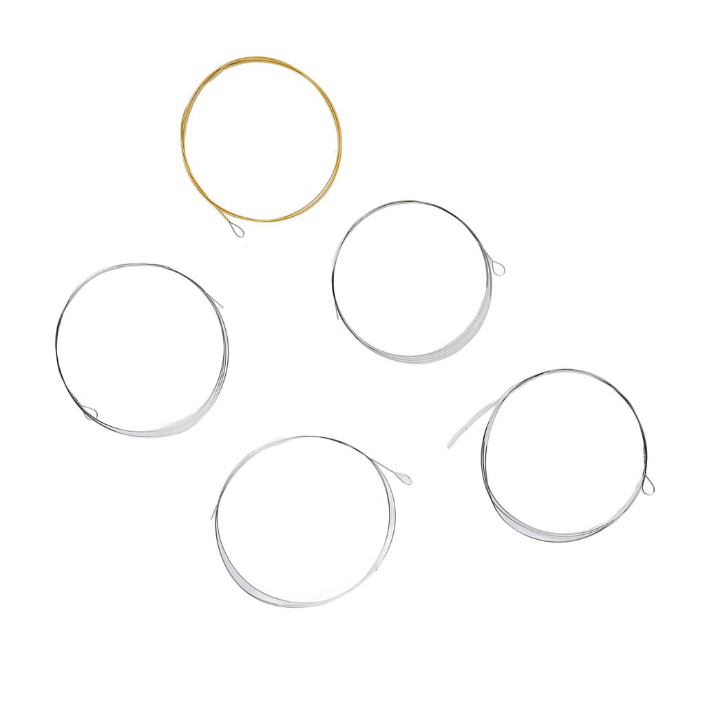 5 String Banjo String Stainless Steel Full Resonance Thick High Notes Strings Replacement for Performance