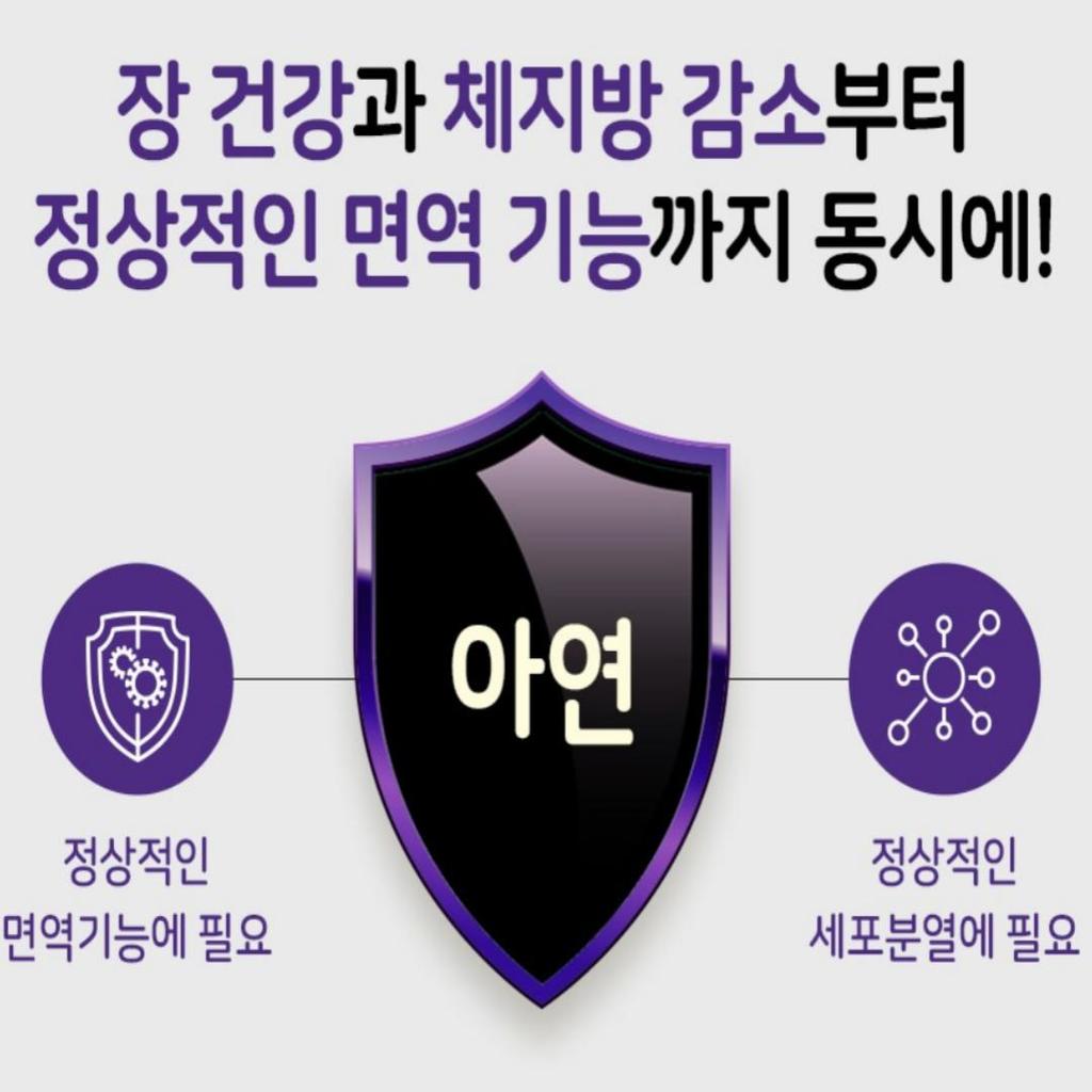 [LACTOFIT] Diet Probiotics 60 Sticks