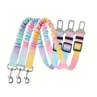 Cani – Collari e guinzagli per cani