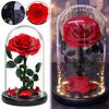 Preserved Rose In Glass Domes With LED Light Gift For Girlfriend Sturdy Lasting For Year Romantic Dinner Setting