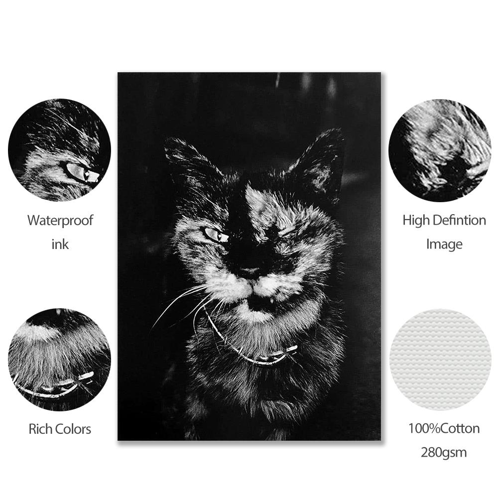 Black White Retro Fashion Photography Art Modern Movie Poster Print Vintage Animal Funny Cover Canvas Painting Room Home Deco