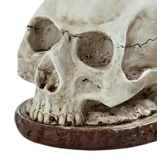 Schädel-förmiger Messerhalter mit Knochenstruktur Dunkles Horror Küchen-Dekor für Halloween Gotischer Stil Stabil Einzigartiges Geschenk für Horror-Fans