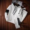 Men's Trendy Spring & Autumn Sports Suit - Casual Korean-Style Jacket & Sweater