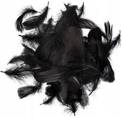 Black Feathers 10-12Cm Pack. 50 Pcs.