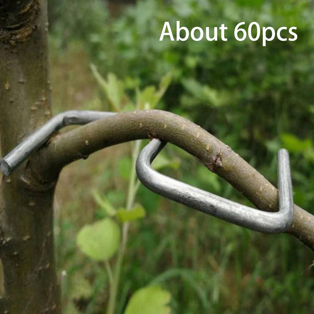 Plants Stem Trainer Branch Limb Spreader Farm Tools Steel Wire Orchard Yard Trees Branches Fixator Farm Fruits Branch Spreader