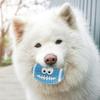 OUNONA Rugby Ball Puppy Dog Play Set of Latex Dog Squeaky Rugby Perfect for Outdoor Play Toys, Supplies, Toys, 3, Balls,