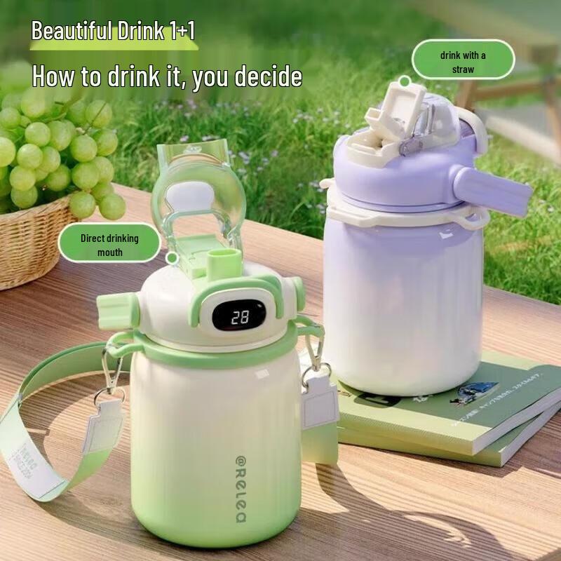 RELEA Mishu 900ml Smart Temp Display Double-Drink Stainless Steel Insulated Straw Cup