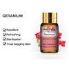 PHATOIL 5/10/30/100ML Geranium Pure Essential Oil With Dropper For Candle Soap Making Perfume Air Freshering Diffuser Skin Care Floral Fragrance Oil