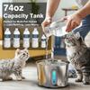 USB Automatic 2.2L Cat Water Fountain with Filter Stainless Steel Pet Water Dispenser for Cats Dogs Drinking Transparent Window