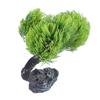 Landschaft Künstliche Pflanze Landschaft Fisch Tanks Dekorationen für Aquarien Terrarium Garnelen Baum Große Ornamente