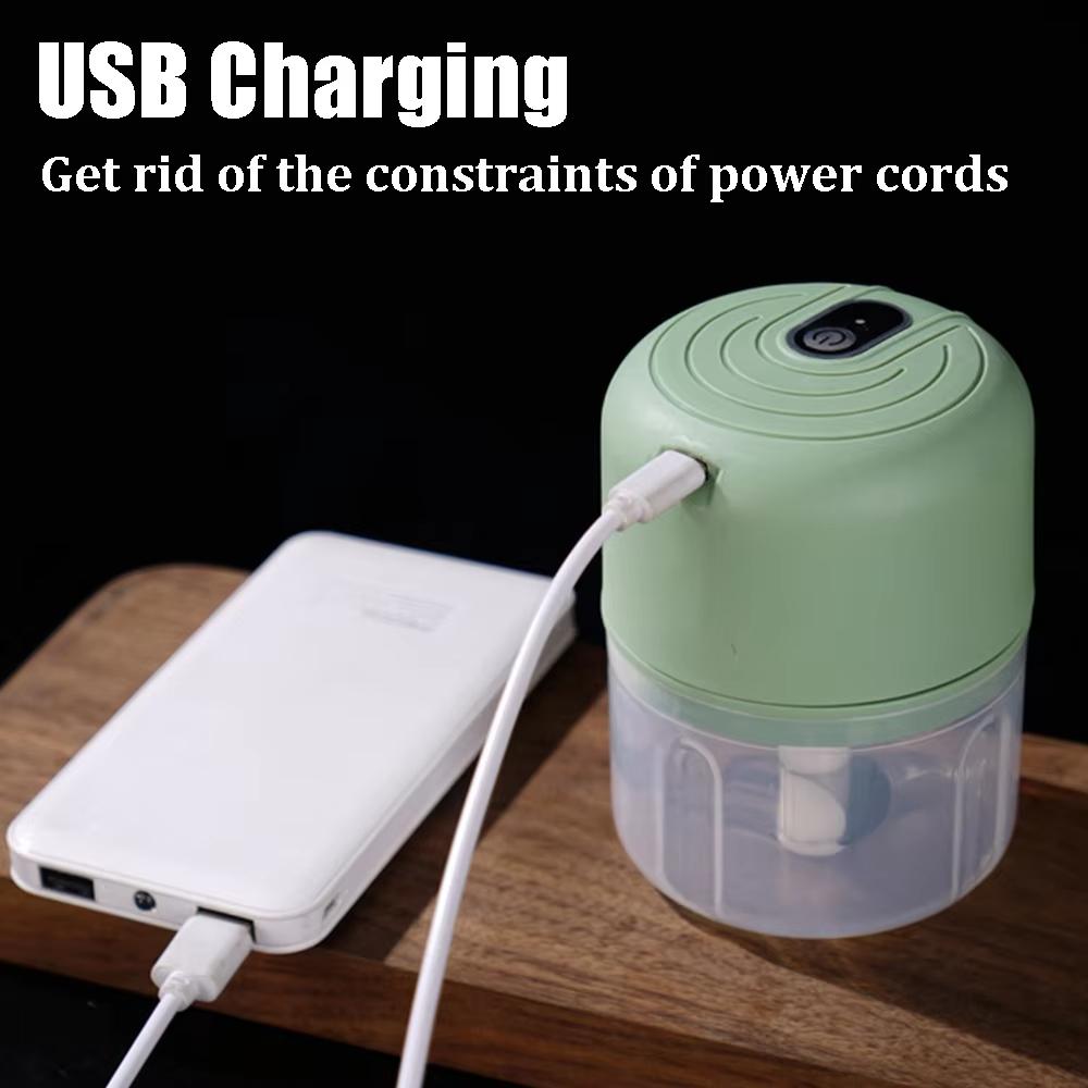 1 Garlic Puree Machine, Garlic Mixer, 250ML Electric Onion Chopper, Vanilla Vegetable Chili Grinder, Kitchen Food Mixer