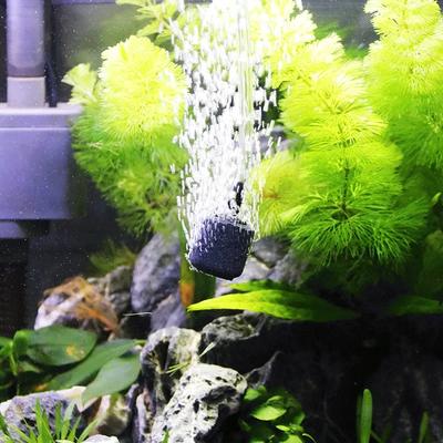 Aquarium Luftpumpe Zubehör Set mit Luftstein Blasenbelüfter, Rückschlagventilen, Saugnäpfen, Luftschlauch, für Fischbecken Sauerstoffpumpe