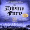 A Divine Fury by D. V. Bishop Hardback Book 9781529096538