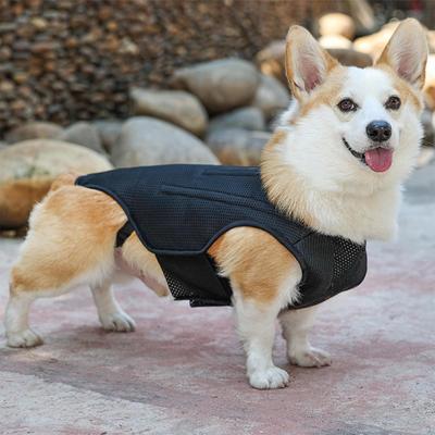 Back Pads Adjustable Breathable Protective Harness for Various Sizes Pet Dogs, Injured Elderly Dogs