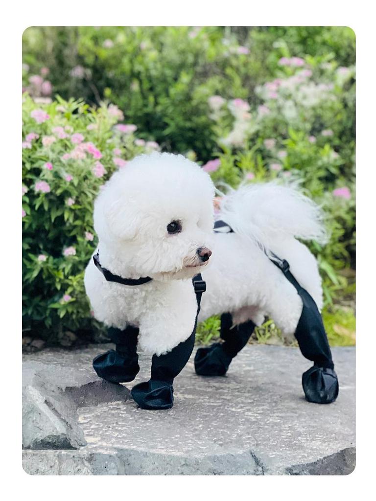 Čtyřsezónní voděodolné protiskluzové psí boty: Odolné boty pro domácí mazlíčky pro venkovní použití