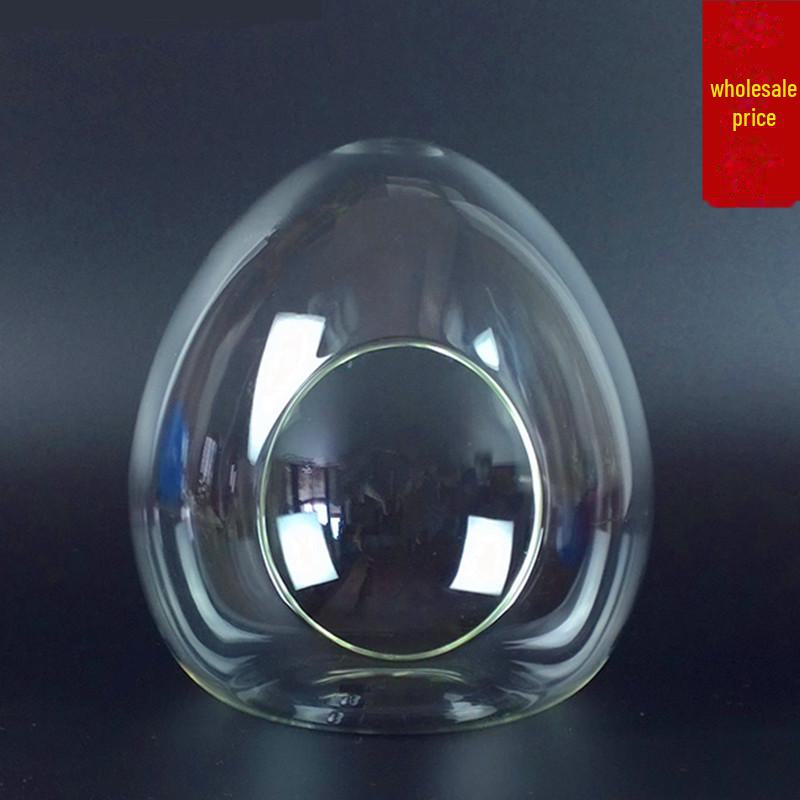 Egg-Shaped Glass Vase for Succulent and Moss Landscaping