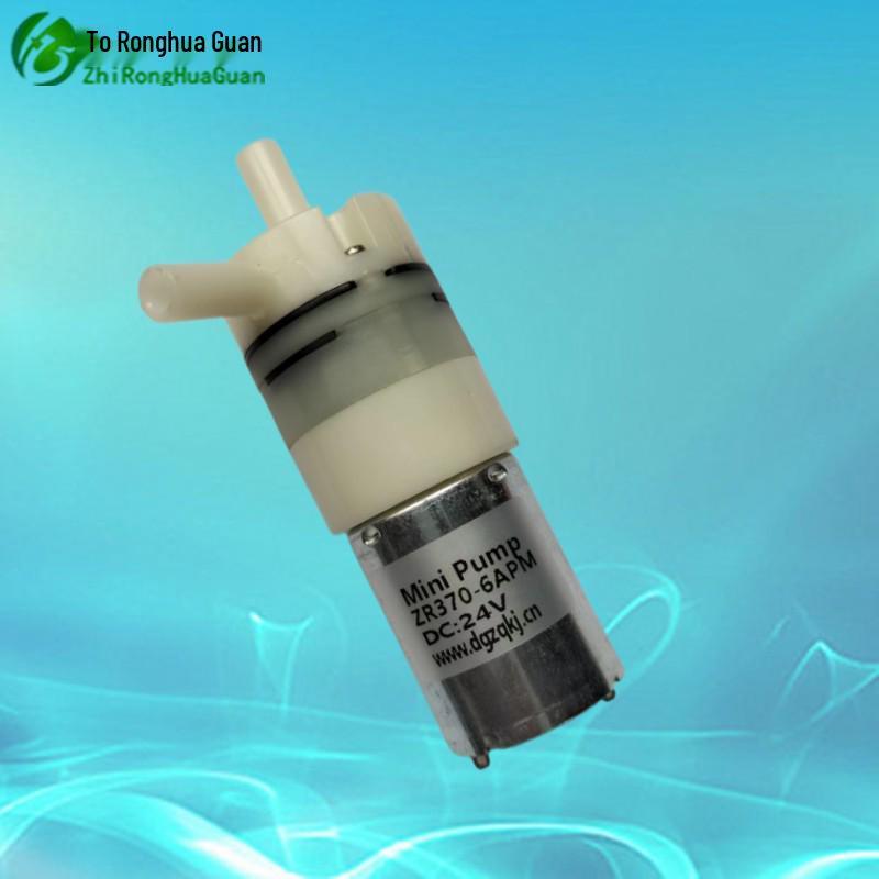 Ronghuaguan Miniature Diaphragm Self-Priming Water Pump 12V/24V DC